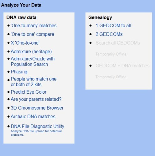 DNA Matches 01